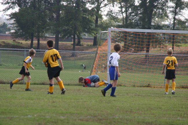 Click to see next picture