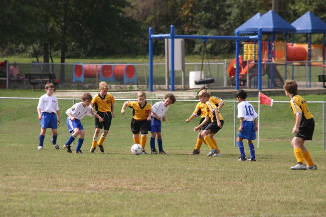 Click to see next picture