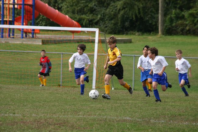 Click to see next picture