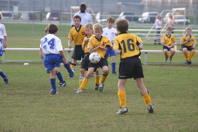 Click to see next picture