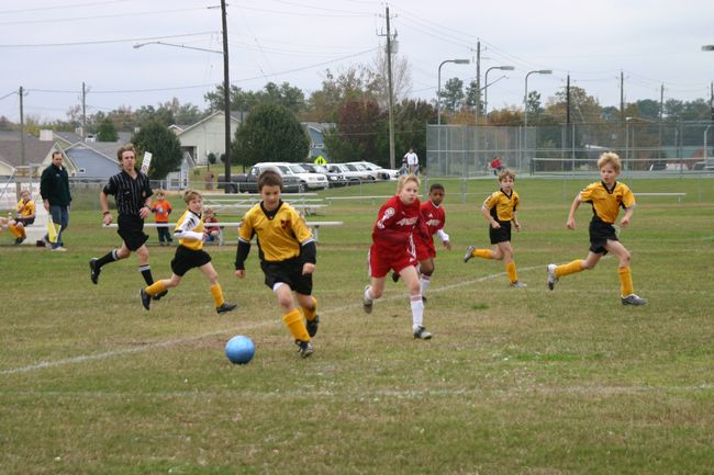 Click to see next picture