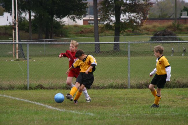 Click to see next picture