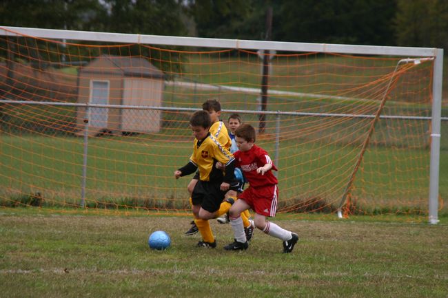 Click to see next picture