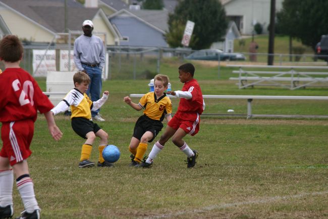 Click to see next picture