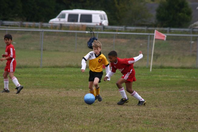 Click to see next picture