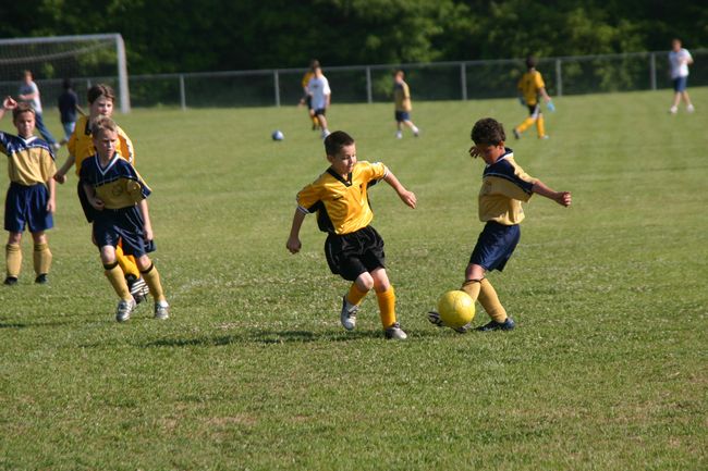 Click to see next picture