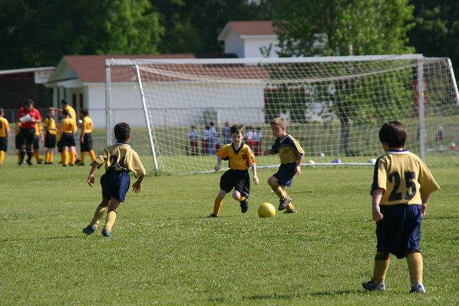 Click to see next picture