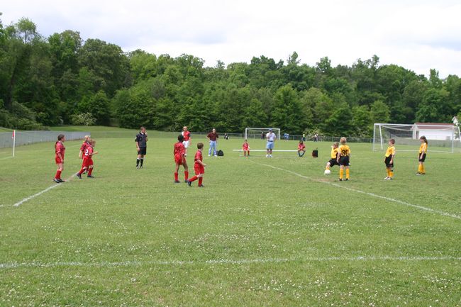 Click to see next picture