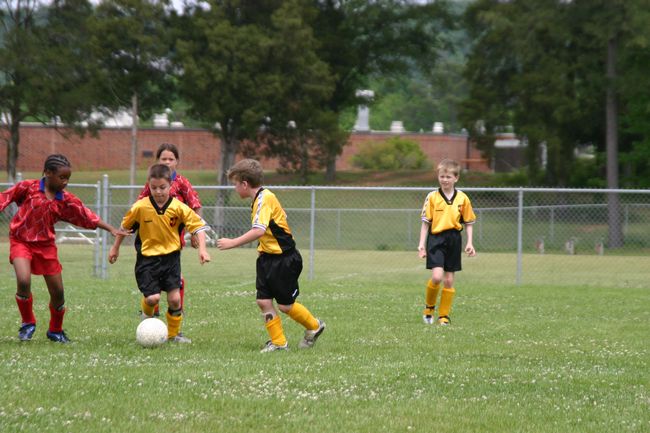 Click to see next picture