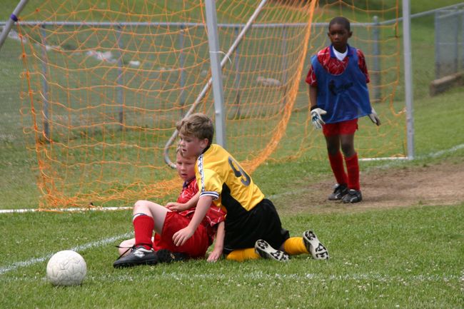 Click to see next picture