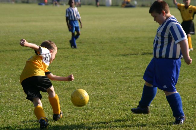 Click to see next picture