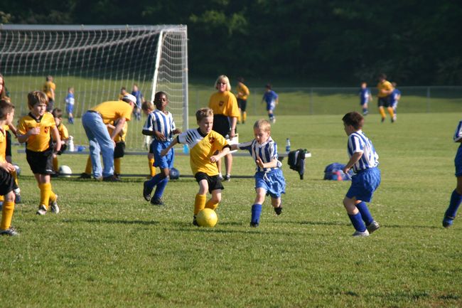 Click to see next picture