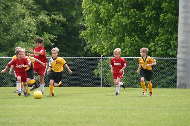 Click to see next picture