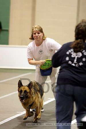 Dawg Derby Flyball Tournement<br />July 12<br />Classic Center<br />Athens, Ga