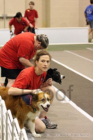 Dawg Derby Flyball Tournement<br />July 12<br />Classic Center<br />Athens, Ga