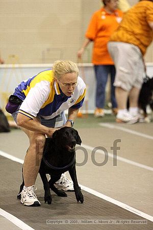Dawg Derby Flyball Tournement<br />July 12<br />Classic Center<br />Athens, Ga