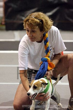 Dawg Derby Flyball Tournement<br />July 13<br />Classic Center<br />Athens, Ga