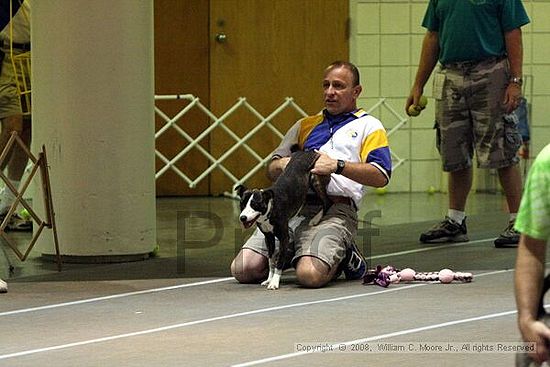 Birmingham Bandits Summer Shootout<br />June 28th, 2008<br />Bessemer Civic Center<br />Bessemer Al