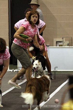 Dawg Derby Flyball Tournement<br />July 11, 2009<br />Classic Center<br />Athens, Ga