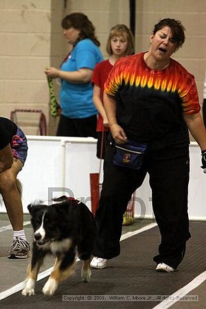 Dawg Derby Flyball Tournement<br />July 12, 2009<br />Classic Center<br />Athens, Ga