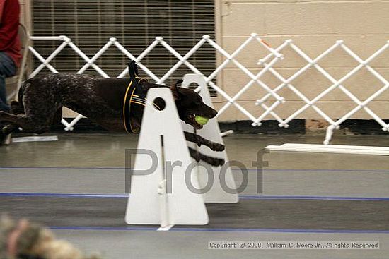 MCRD Heart and Soul FDlyball Tournement<br />February 15th, 2009