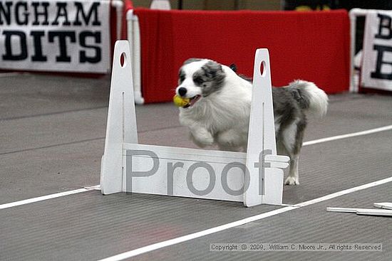 Birmingham Bandits March Madness<br />3/15/2009<br />Shocco Springs, Al