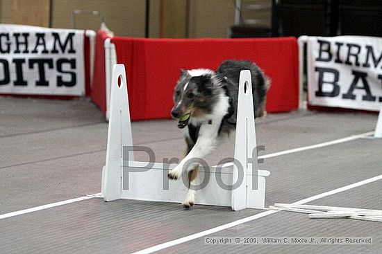 Birmingham Bandits March Madness<br />3/15/2009<br />Shocco Springs, Al