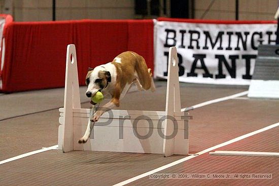 Birmingham Bandits Summer Shootout<br />May 30th, 2009<br />Bessemer Civic Center<br />Bessemer Al