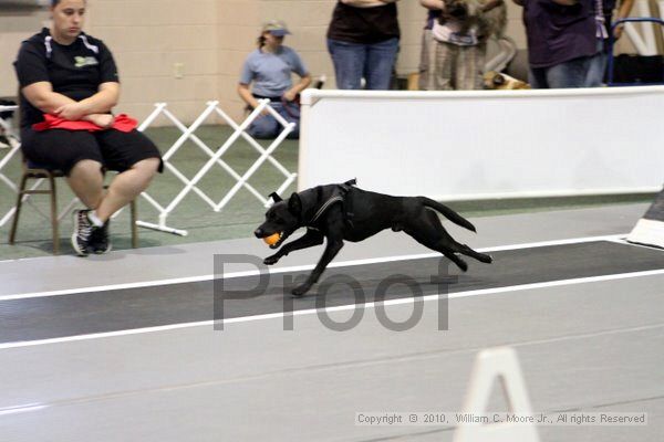 IMG_7034.jpg - Dawg Derby Flyball TournementJuly 10, 2010Classic CenterAthens, Ga