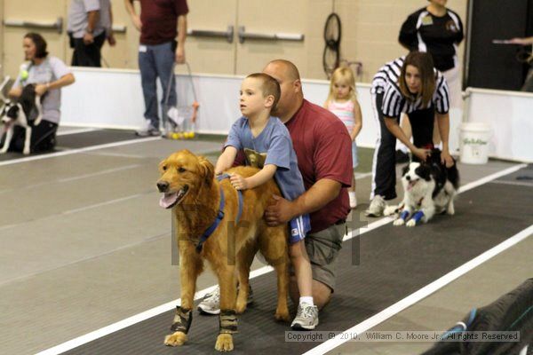 IMG_7041.jpg - Dawg Derby Flyball TournementJuly 10, 2010Classic CenterAthens, Ga