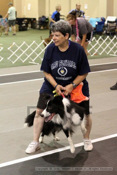 IMG_7044.jpg - Dawg Derby Flyball TournementJuly 10, 2010Classic CenterAthens, Ga