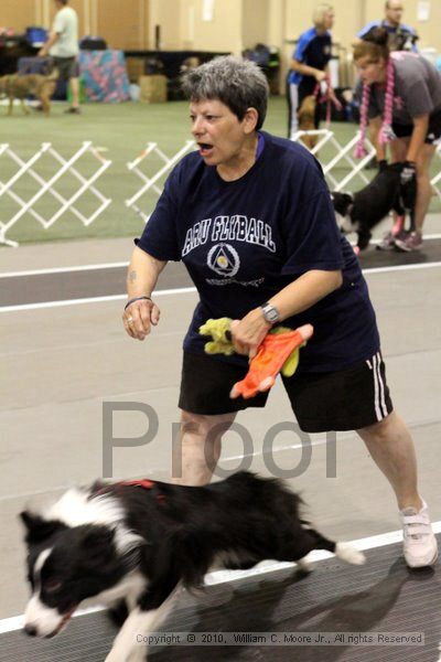 IMG_7045.jpg - Dawg Derby Flyball TournementJuly 10, 2010Classic CenterAthens, Ga