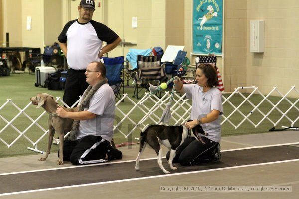 IMG_7050.jpg - Dawg Derby Flyball TournementJuly 10, 2010Classic CenterAthens, Ga