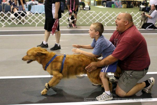 IMG_7051.jpg - Dawg Derby Flyball TournementJuly 10, 2010Classic CenterAthens, Ga