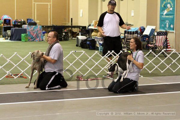IMG_7054.jpg - Dawg Derby Flyball TournementJuly 10, 2010Classic CenterAthens, Ga