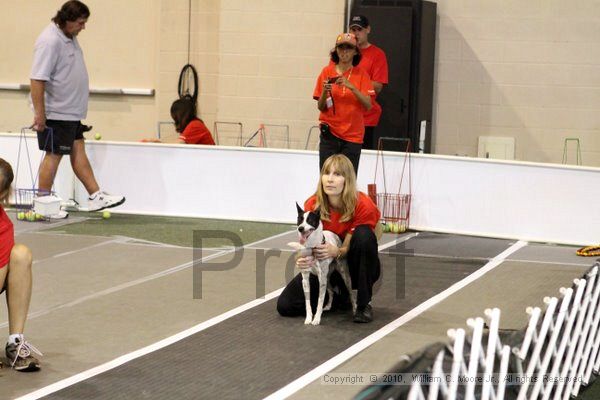 IMG_7478.jpg - Dawg Derby Flyball TournementJuly 10, 2010Classic CenterAthens, Ga