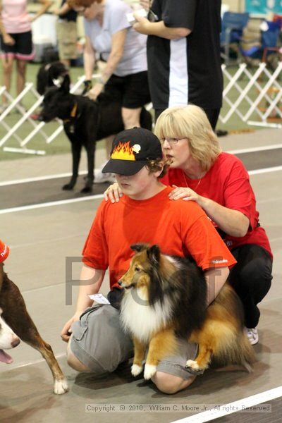 IMG_7480.jpg - Dawg Derby Flyball TournementJuly 10, 2010Classic CenterAthens, Ga