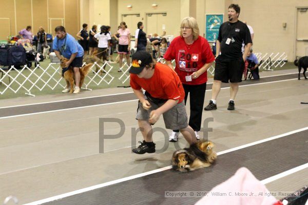 IMG_7486.jpg - Dawg Derby Flyball TournementJuly 10, 2010Classic CenterAthens, Ga