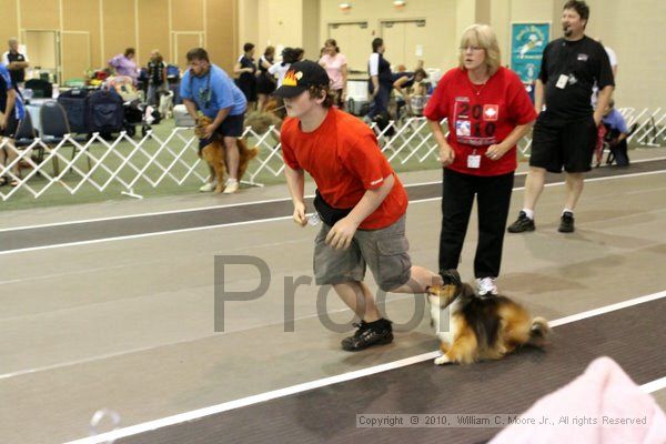 IMG_7487.jpg - Dawg Derby Flyball TournementJuly 10, 2010Classic CenterAthens, Ga