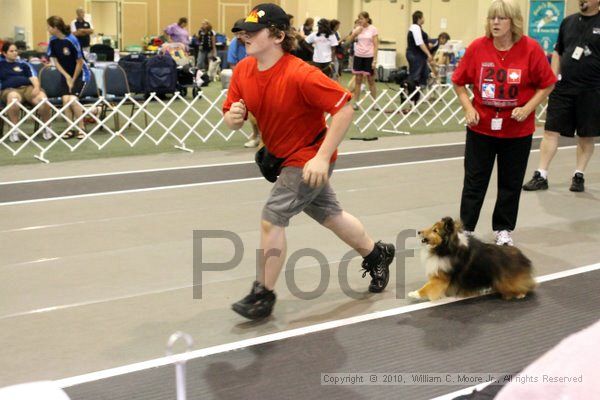 IMG_7488.jpg - Dawg Derby Flyball TournementJuly 10, 2010Classic CenterAthens, Ga