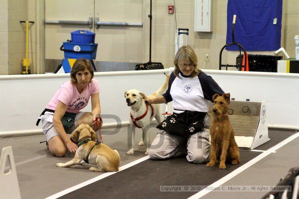 IMG_7496.jpg - Dawg Derby Flyball TournementJuly 10, 2010Classic CenterAthens, Ga