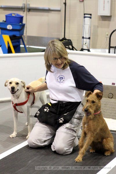 IMG_7498.jpg - Dawg Derby Flyball TournementJuly 10, 2010Classic CenterAthens, Ga