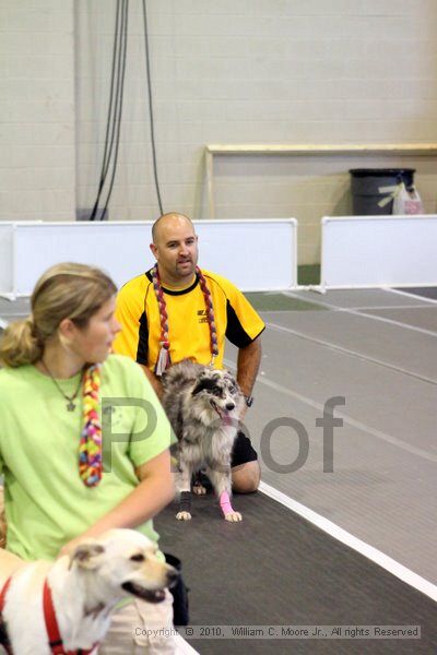 IMG_7510.jpg - Dawg Derby Flyball TournementJuly 10, 2010Classic CenterAthens, Ga