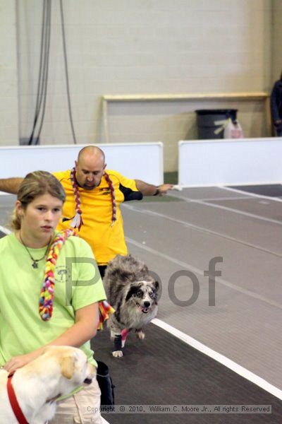 IMG_7511.jpg - Dawg Derby Flyball TournementJuly 10, 2010Classic CenterAthens, Ga