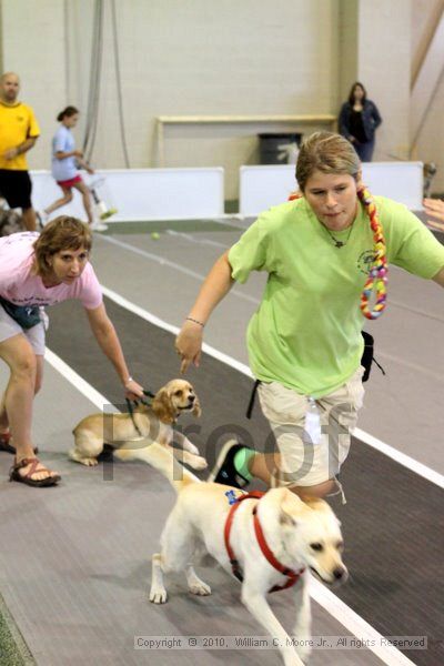 IMG_7513.jpg - Dawg Derby Flyball TournementJuly 10, 2010Classic CenterAthens, Ga