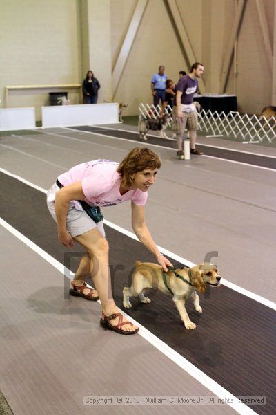 IMG_7514.jpg - Dawg Derby Flyball TournementJuly 10, 2010Classic CenterAthens, Ga