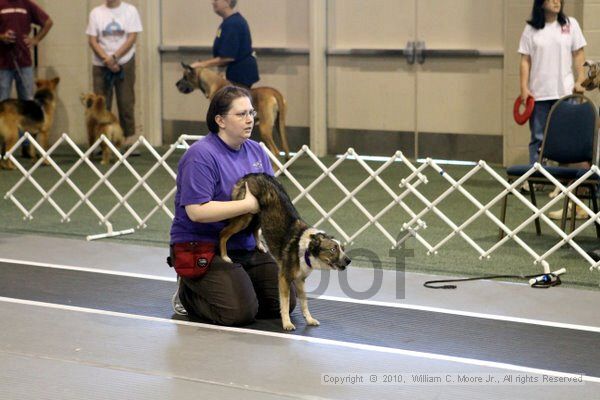 IMG_7520.jpg - Dawg Derby Flyball TournementJuly 10, 2010Classic CenterAthens, Ga