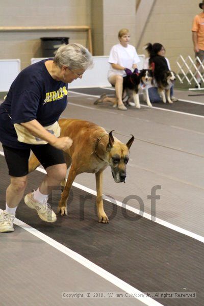 IMG_7530.jpg - Dawg Derby Flyball TournementJuly 10, 2010Classic CenterAthens, Ga