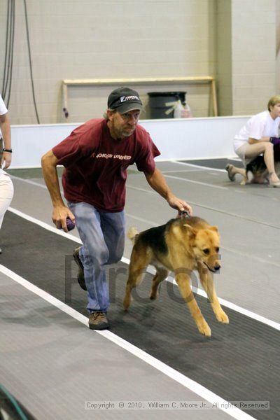 IMG_7532.jpg - Dawg Derby Flyball TournementJuly 10, 2010Classic CenterAthens, Ga