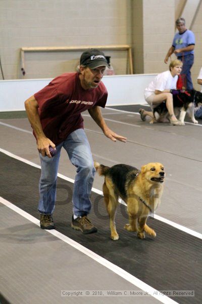 IMG_7533.jpg - Dawg Derby Flyball TournementJuly 10, 2010Classic CenterAthens, Ga